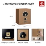 FDG-A1D-50-TSII AIFEIBAO Luxury Safe Box Fingerprint Digital Panel Access for jewelries and money - Image 3